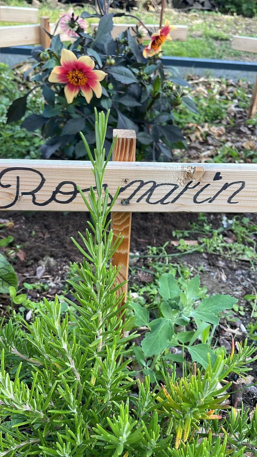 Appartement Buchwald Maishofen Kültér fotó