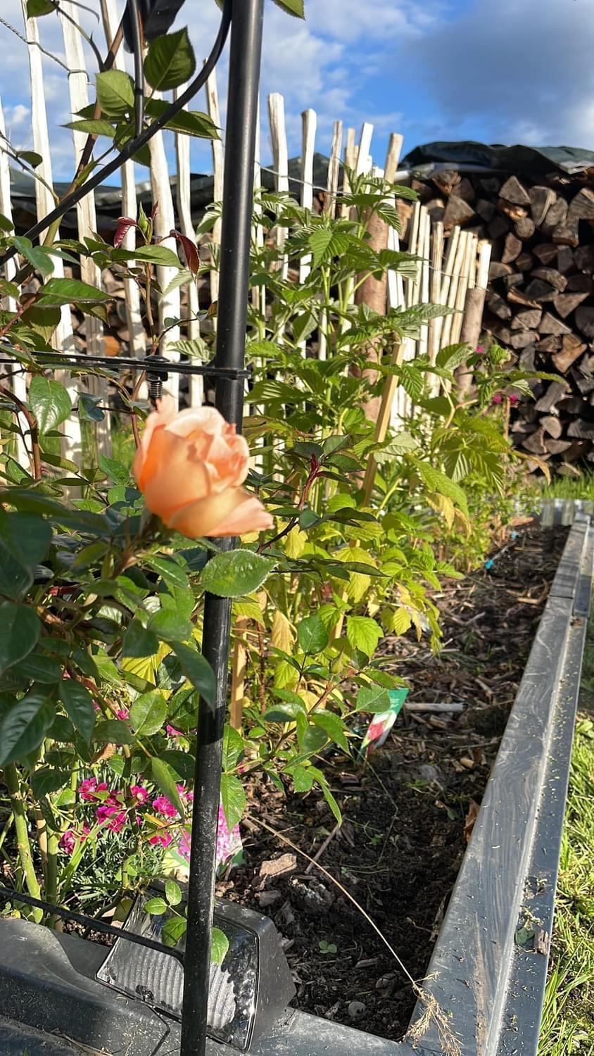 Appartement Buchwald Maishofen Kültér fotó